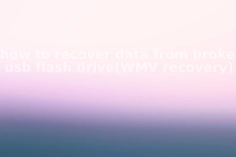 how to recover data from broken usb flash drive(WMV recovery)1