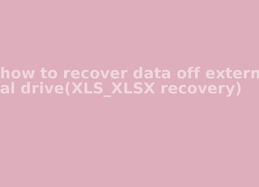 how to recover data off external drive(XLS_XLSX recovery)1