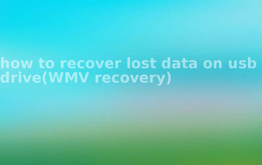 how to recover lost data on usb drive(WMV recovery)2