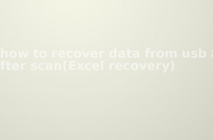 how to recover data from usb after scan(Excel recovery)2