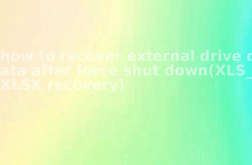 how to recover external drive data after force shut down(XLS_XLSX recovery)2