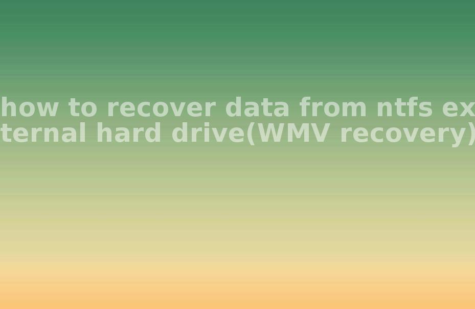 how to recover data from ntfs external hard drive(WMV recovery)1