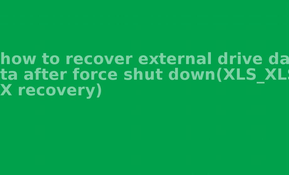 how to recover external drive data after force shut down(XLS_XLSX recovery)1