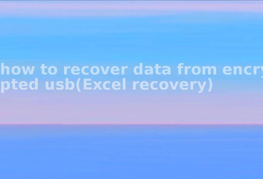 how to recover data from encrypted usb(Excel recovery)2