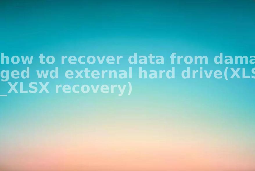 how to recover data from damaged wd external hard drive(XLS_XLSX recovery)1