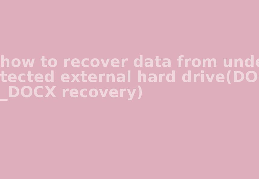 how to recover data from undetected external hard drive(DOC_DOCX recovery)2