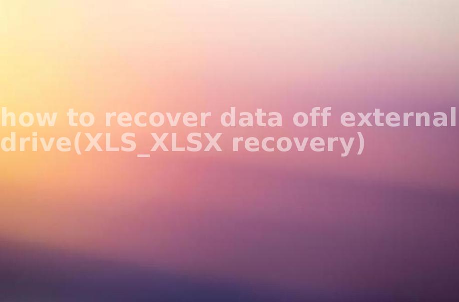 how to recover data off external drive(XLS_XLSX recovery)2