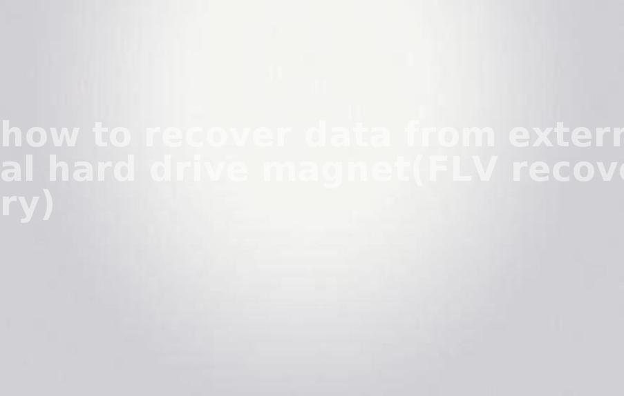 how to recover data from external hard drive magnet(FLV recovery)2