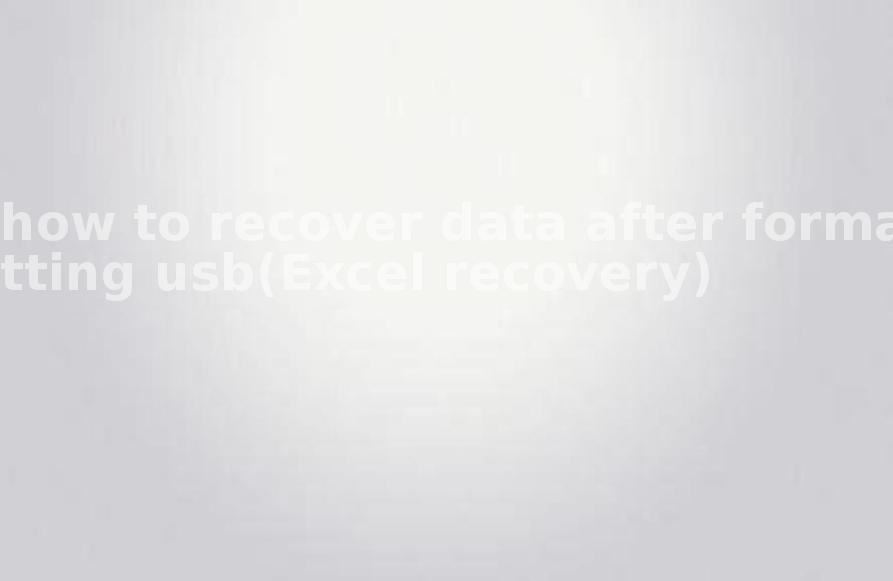 how to recover data after formatting usb(Excel recovery)1