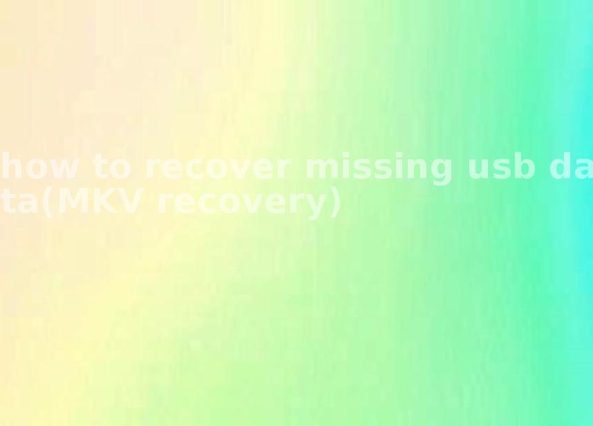 how to recover missing usb data(MKV recovery)2