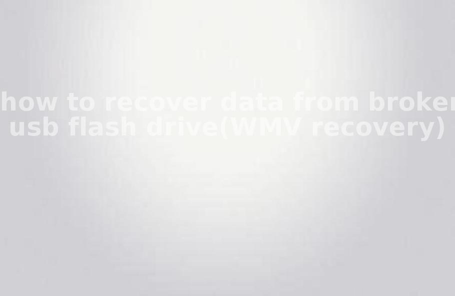 how to recover data from broken usb flash drive(WMV recovery)2