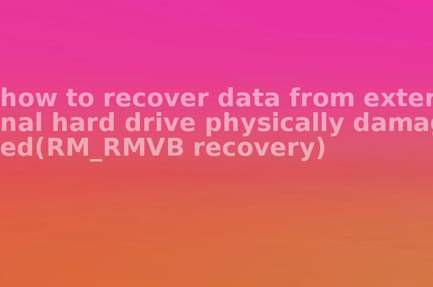 how to recover data from external hard drive physically damaged(RM_RMVB recovery)2