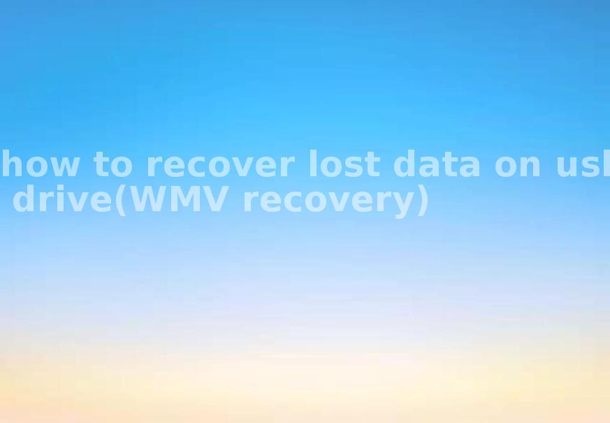 how to recover lost data on usb drive(WMV recovery)1