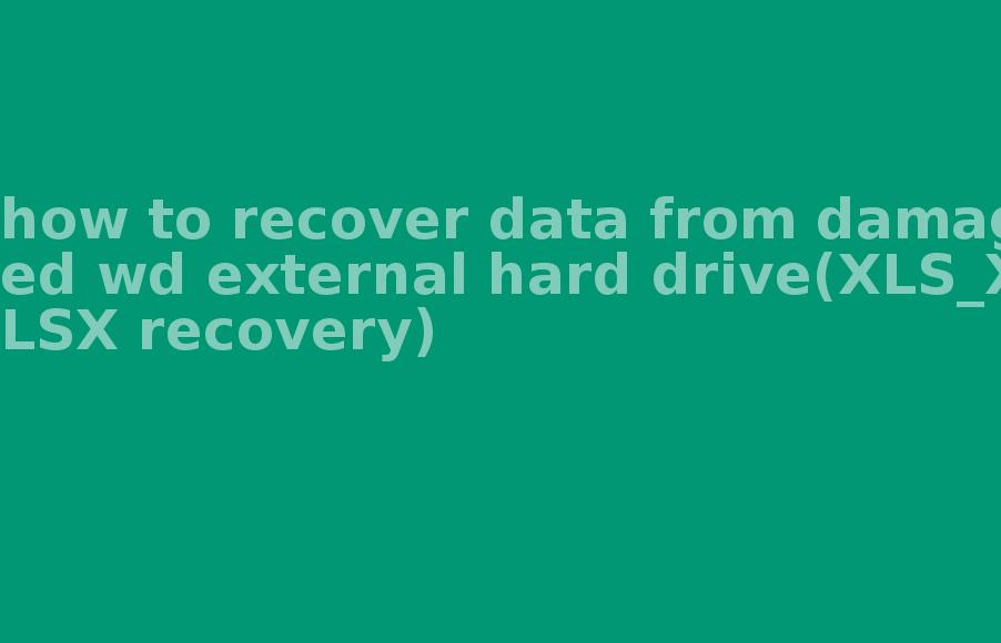 how to recover data from damaged wd external hard drive(XLS_XLSX recovery)2